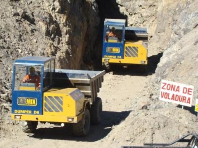 Dumper1